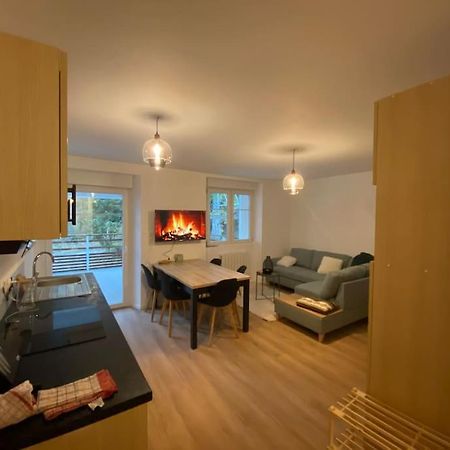 Appartement Chaleureux Au Pied Des Pistes Orbey Exteriör bild
