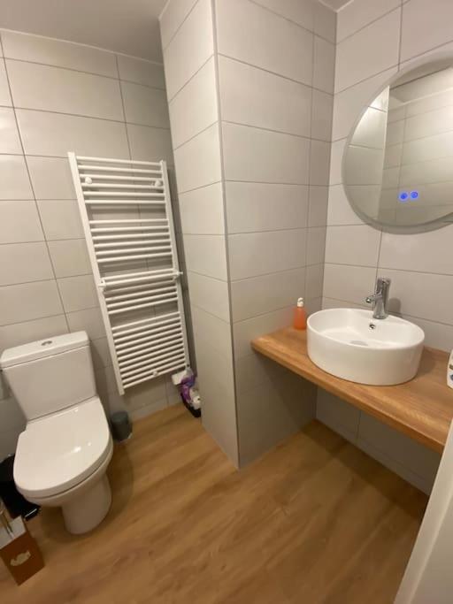 Appartement Chaleureux Au Pied Des Pistes Orbey Exteriör bild