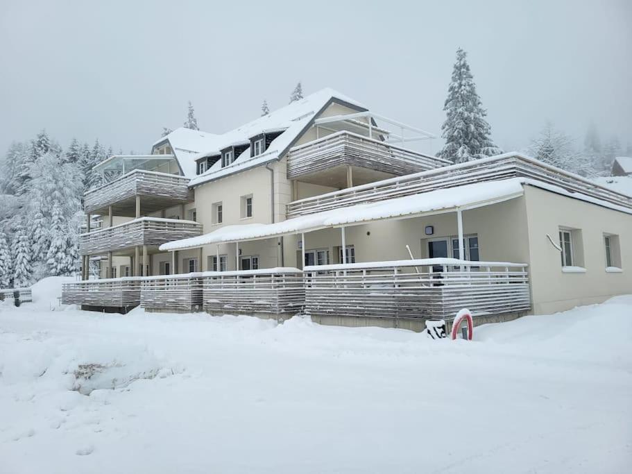 Appartement Chaleureux Au Pied Des Pistes Orbey Exteriör bild