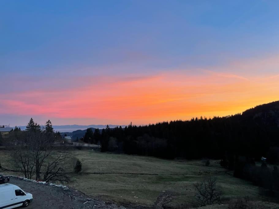 Appartement Chaleureux Au Pied Des Pistes Orbey Exteriör bild